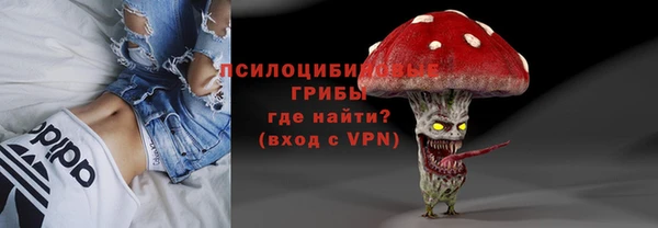 крисы Армянск
