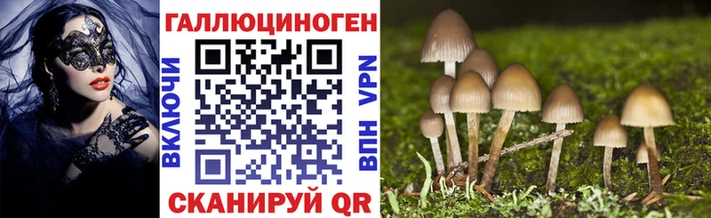 Галлюциногенные грибы Cubensis Отрадный